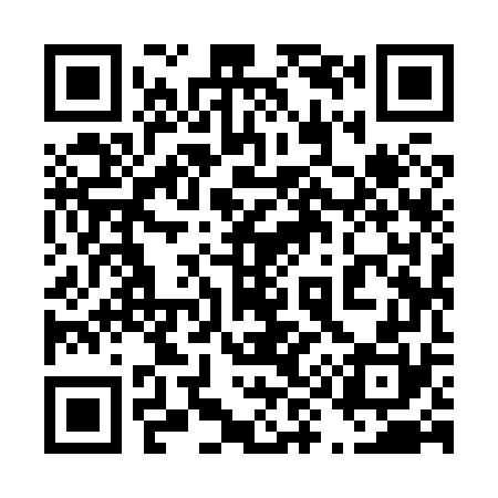 QR code for 499870