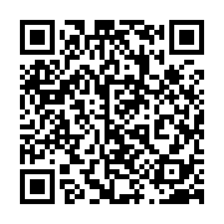 QR code for 499938