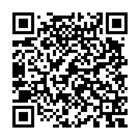 QR code for 500460