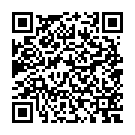 QR code for 5006538