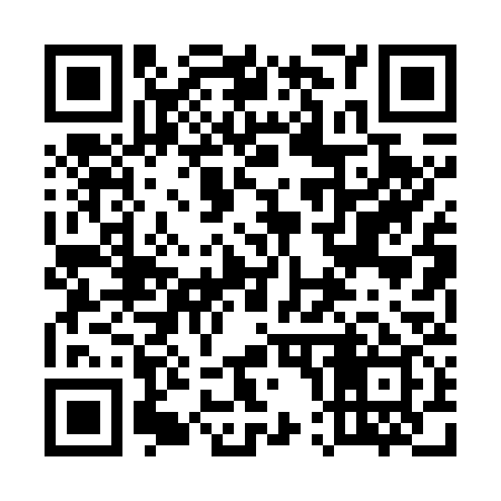 QR code for 500739