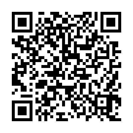 QR code for 500742