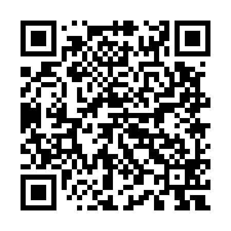 QR code for 501599