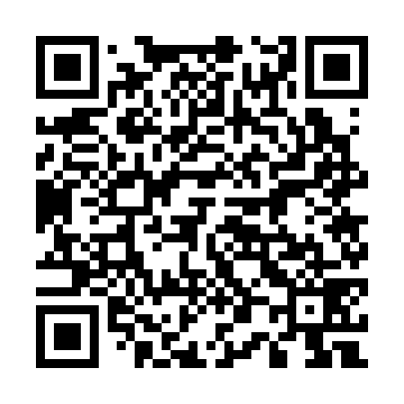 QR code for 507379