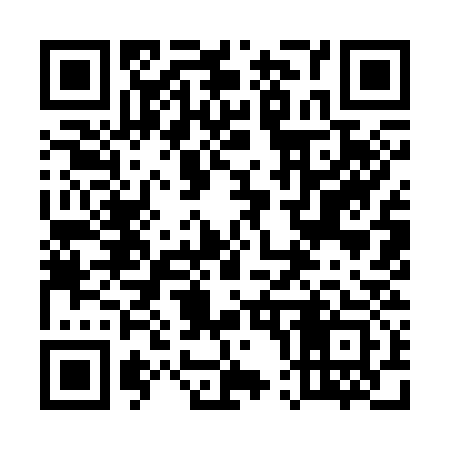 QR code for 509333
