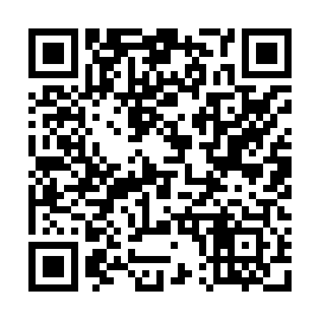 QR code for 509803