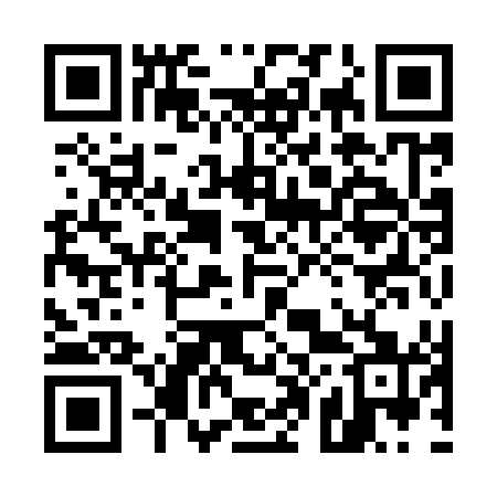 QR code for 509941