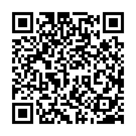 QR code for 510338