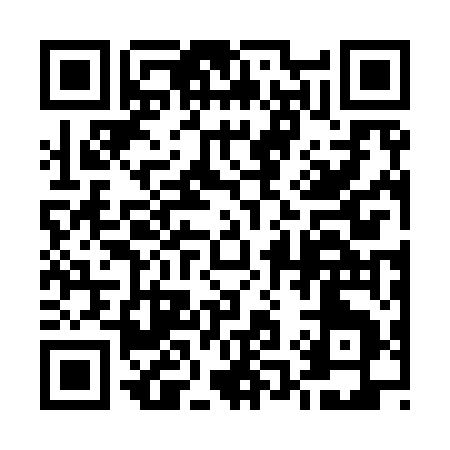 QR code for 51295