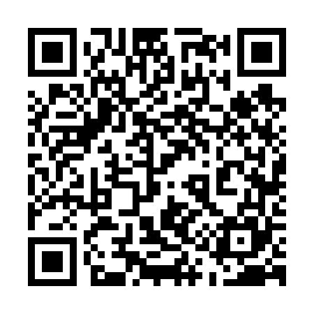 QR code for 516665