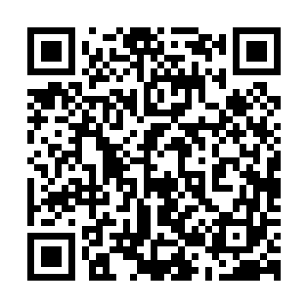 QR code for 520063