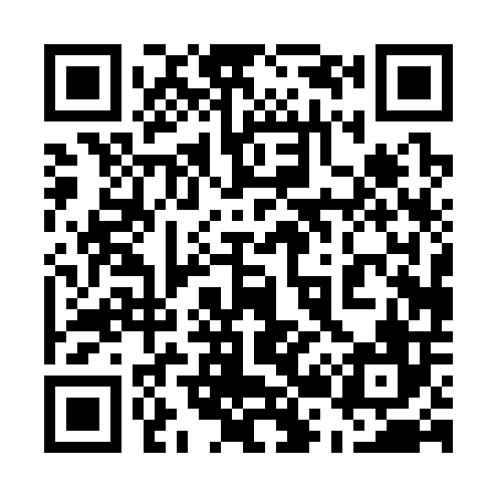 QR code for 520306