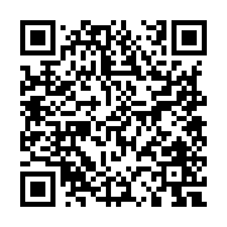 QR code for 52295