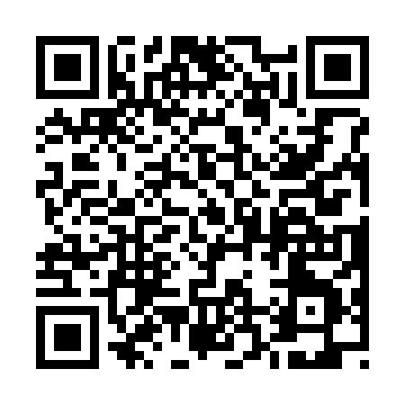 QR code for 52338