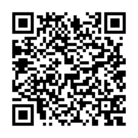 QR code for 5271313