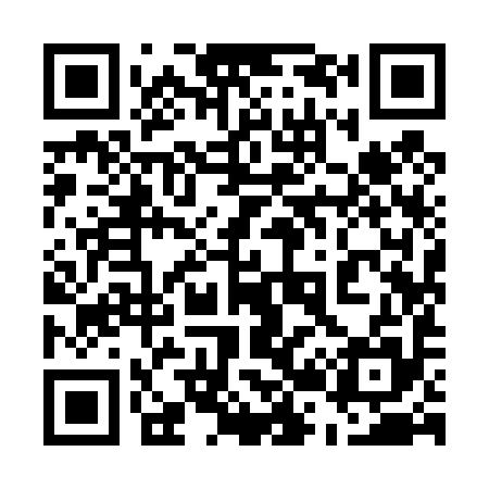 QR code for 529495