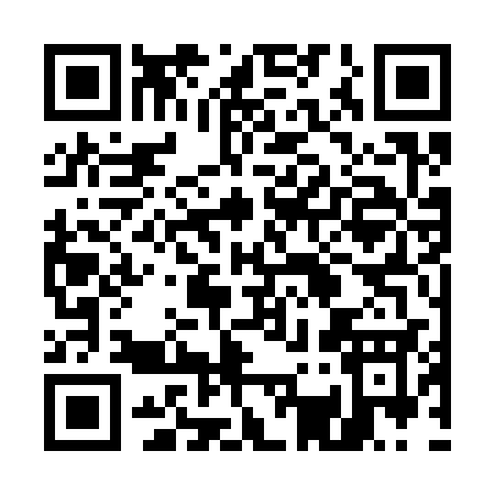 QR code for 53333