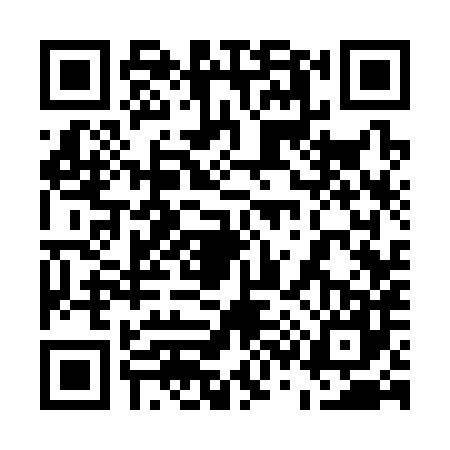 QR code for 5333875
