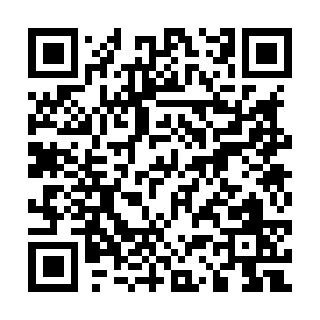 QR code for 53383