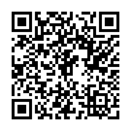 QR code for 5338313