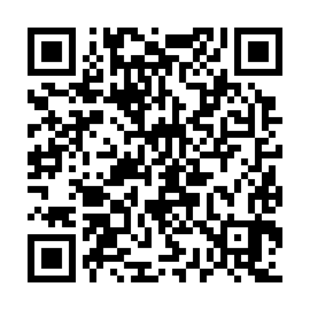 QR code for 536383