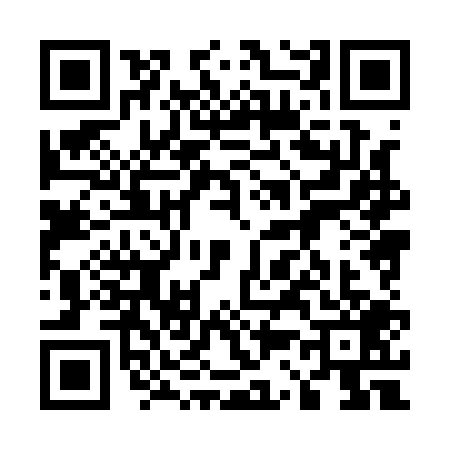 QR code for 5381095
