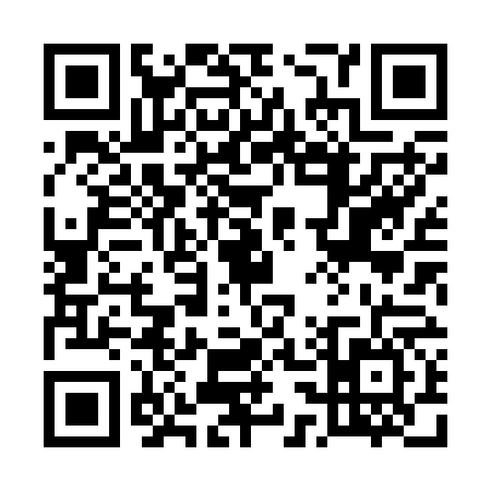 QR code for 5382663