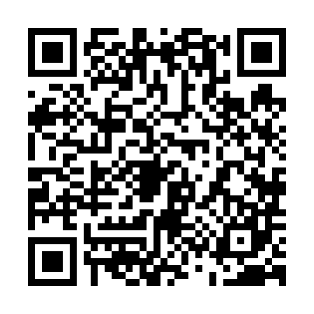 QR code for 5386878