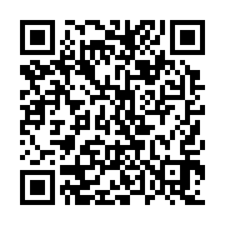 QR code for 540313