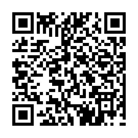 QR code for 54333