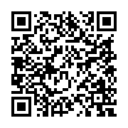 QR code for 54381