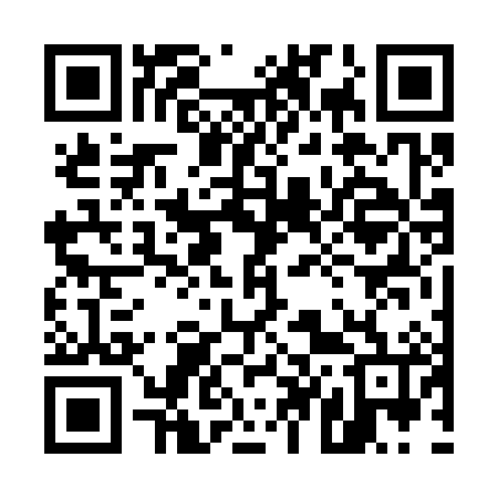 QR code for 546386