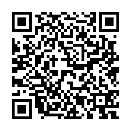 QR code for 5500325