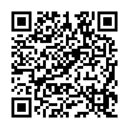 QR code for 55196