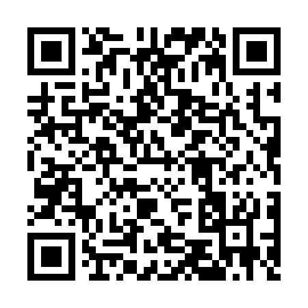 QR code for 55533