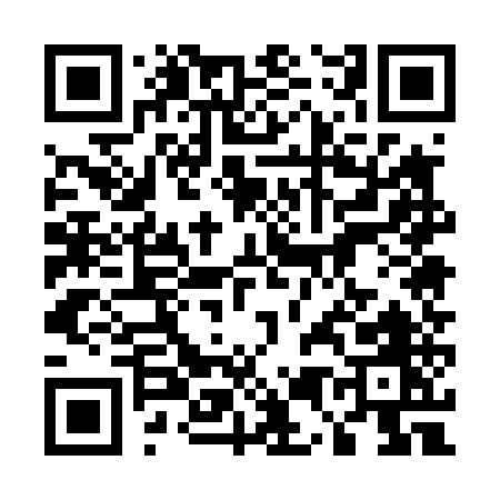 QR code for 55545