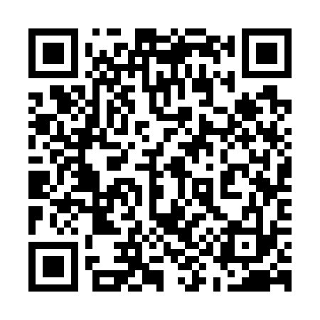 QR code for 593733