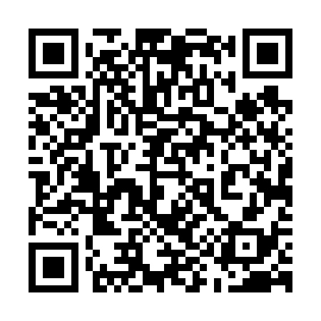 QR code for 594638