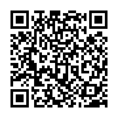 QR code for 595579