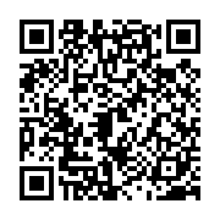 QR code for 5994017