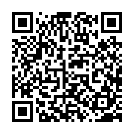 QR code for 600222