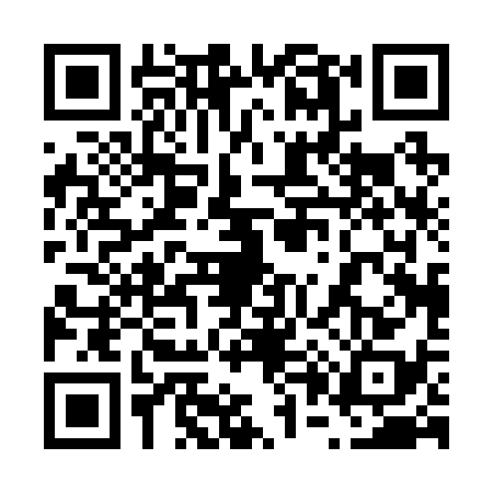QR code for 6002387