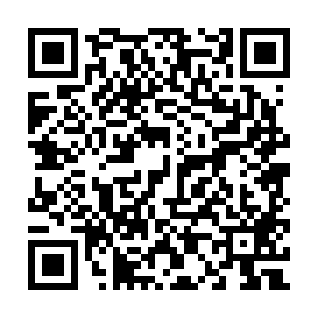 QR code for 6002895