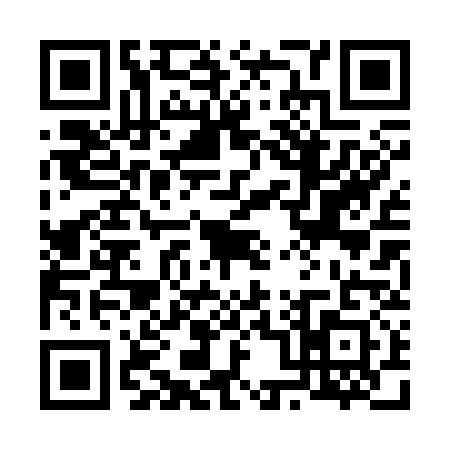 QR code for 6003319