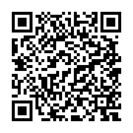 QR code for 6004538