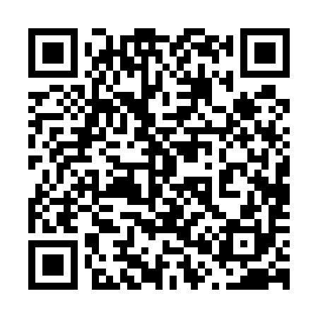 QR code for 600590