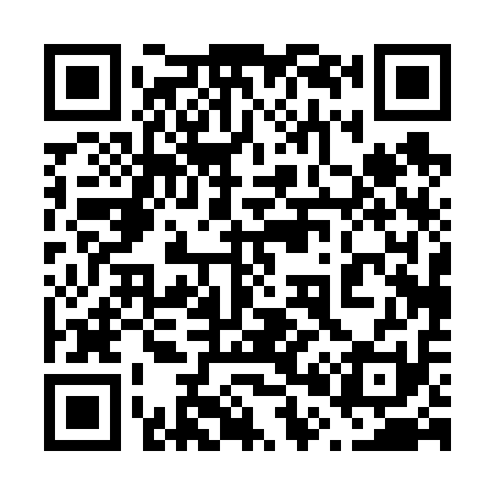 QR code for 600611