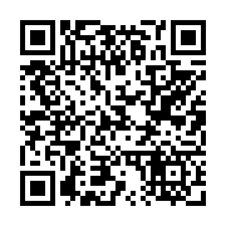 QR code for 600667