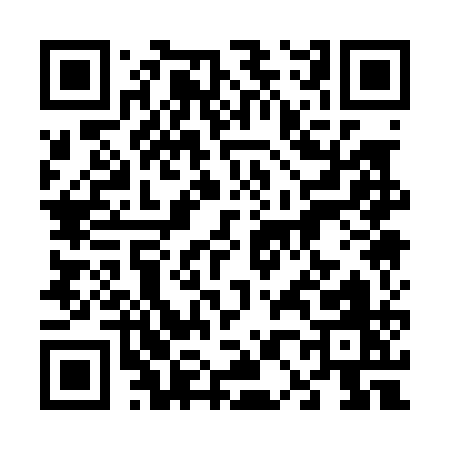 QR code for 60101