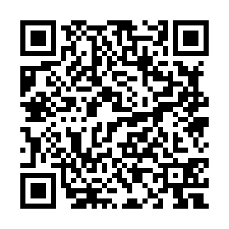 QR code for 6018303